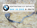 Радиатор маслянный БМВ Х5 Е53 ( BMW X5 E53) 3.0